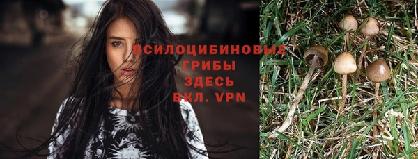 MDMA Premium VHQ Приозерск