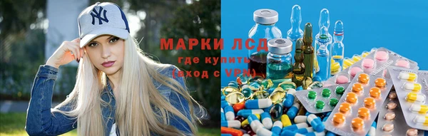 ГАЛЛЮЦИНОГЕННЫЕ ГРИБЫ Протвино