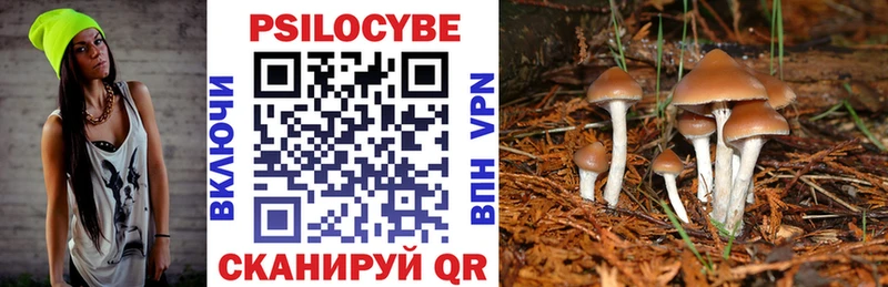 Псилоцибиновые грибы мухоморы  Карабаново 